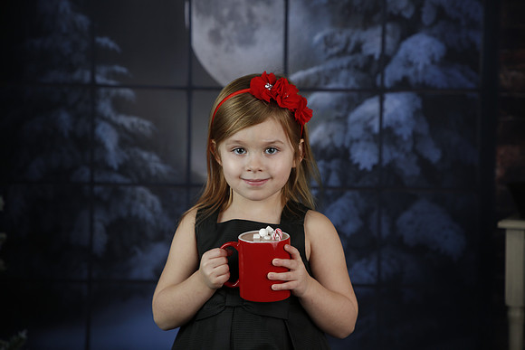 2021 Holiday Mini Session - Biland