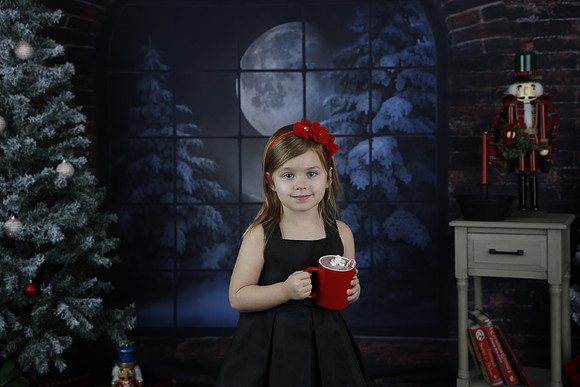 2021 Holiday Mini Session - Biland