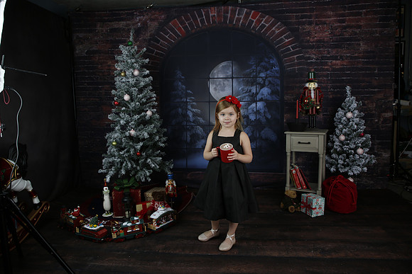 2021 Holiday Mini Session - Biland