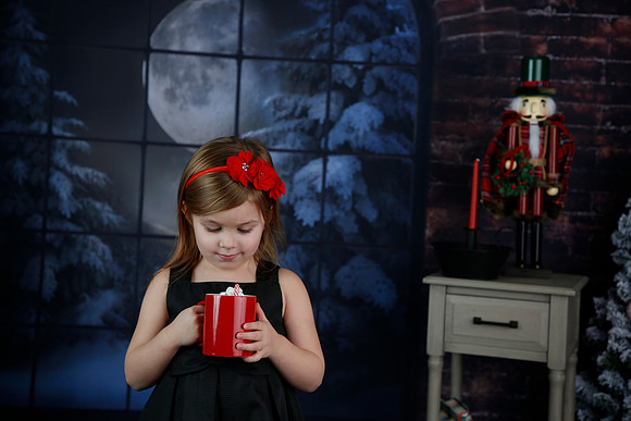 2021 Holiday Mini Session - Biland