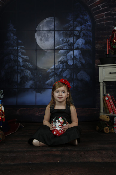 2021 Holiday Mini Session - Biland