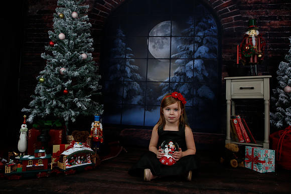 2021 Holiday Mini Session - Biland