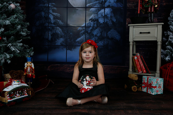 2021 Holiday Mini Session - Biland