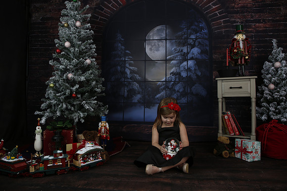 2021 Holiday Mini Session - Biland