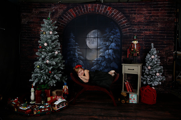 2021 Holiday Mini Session - Biland