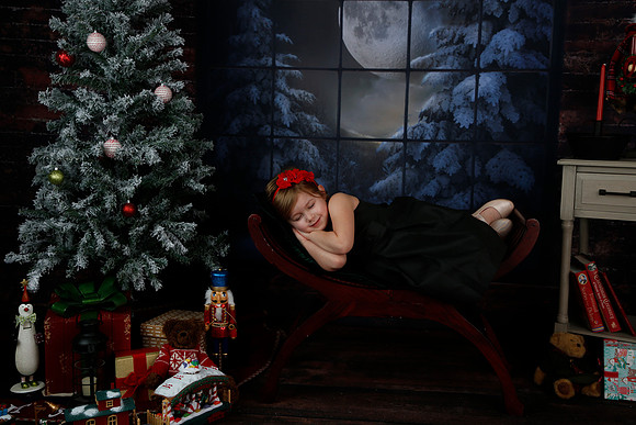 2021 Holiday Mini Session - Biland