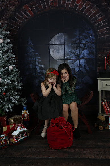 2021 Holiday Mini Session - Biland