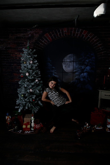 2021 Holiday Mini Session - Biland