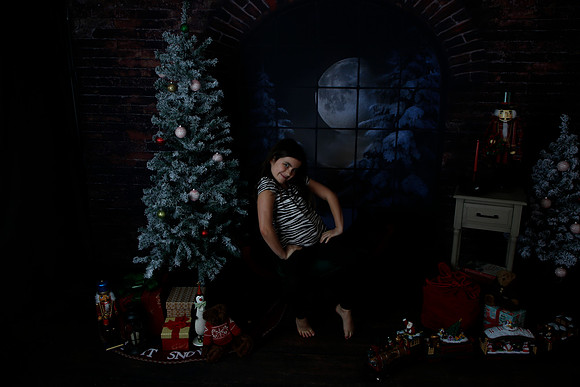 2021 Holiday Mini Session - Biland