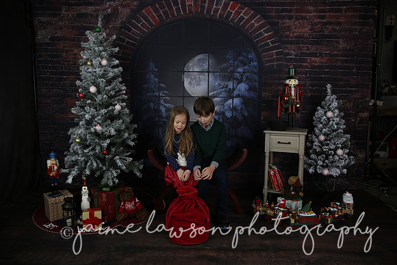 2021 Holiday Mini Session - Mayers