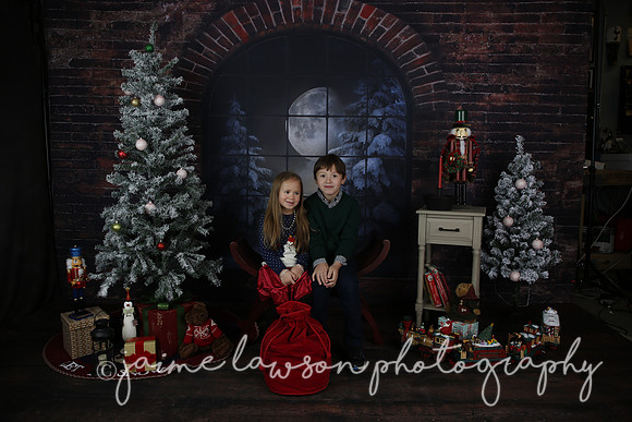 2021 Holiday Mini Session - Mayers