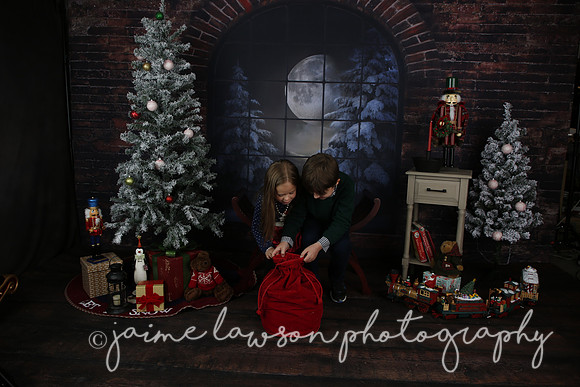 2021 Holiday Mini Session - Mayers