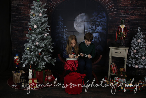 2021 Holiday Mini Session - Mayers