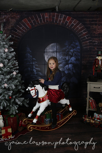 2021 Holiday Mini Session - Mayers