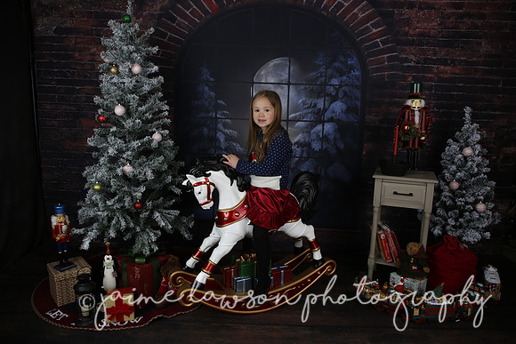 2021 Holiday Mini Session - Mayers