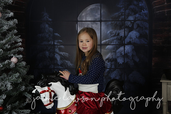 2021 Holiday Mini Session - Mayers
