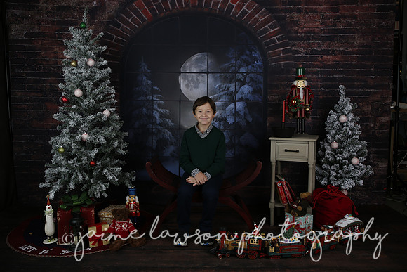 2021 Holiday Mini Session - Mayers