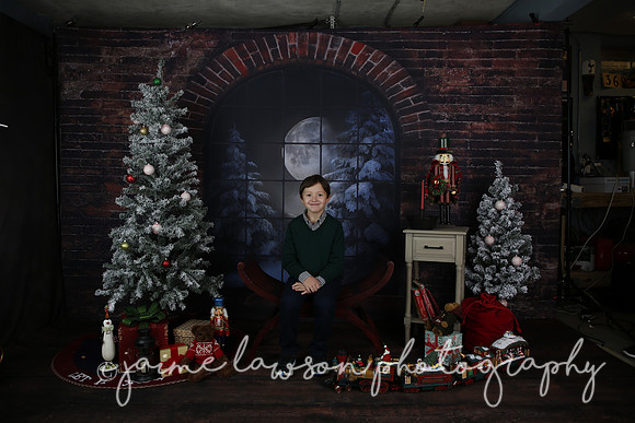 2021 Holiday Mini Session - Mayers
