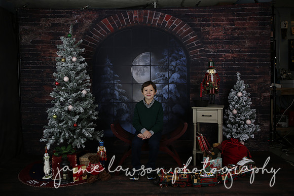 2021 Holiday Mini Session - Mayers