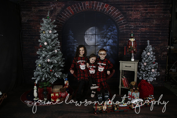 2021 Holiday Mini Session - Rodan