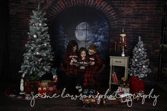 2021 Holiday Mini Session - Rodan