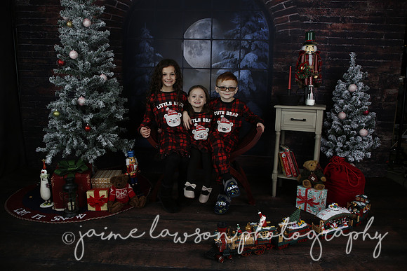 2021 Holiday Mini Session - Rodan