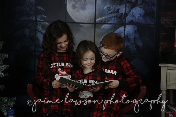 2021 Holiday Mini Session - Rodan