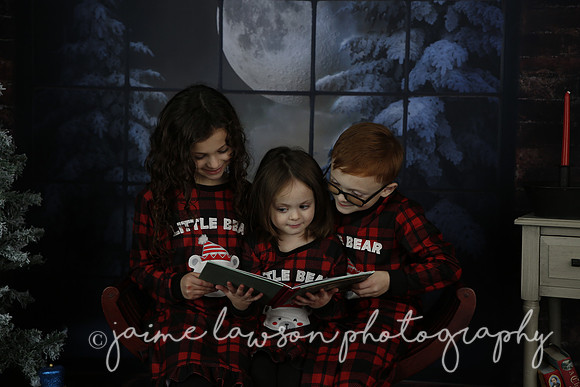 2021 Holiday Mini Session - Rodan