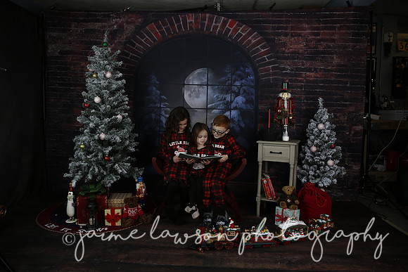 2021 Holiday Mini Session - Rodan