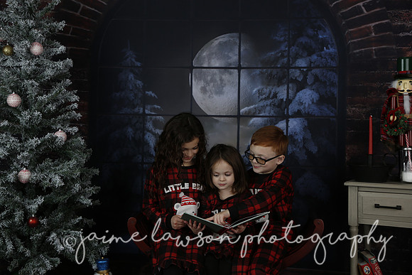 2021 Holiday Mini Session - Rodan