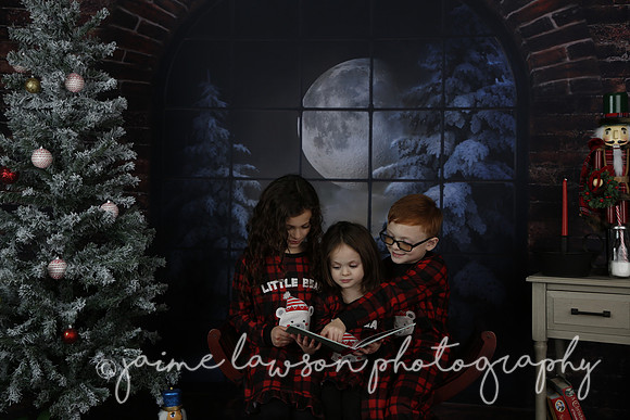 2021 Holiday Mini Session - Rodan