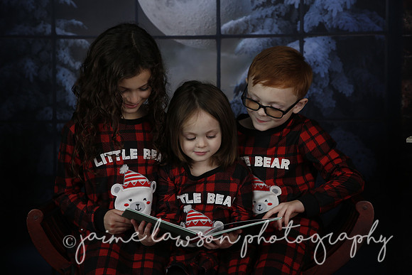 2021 Holiday Mini Session - Rodan