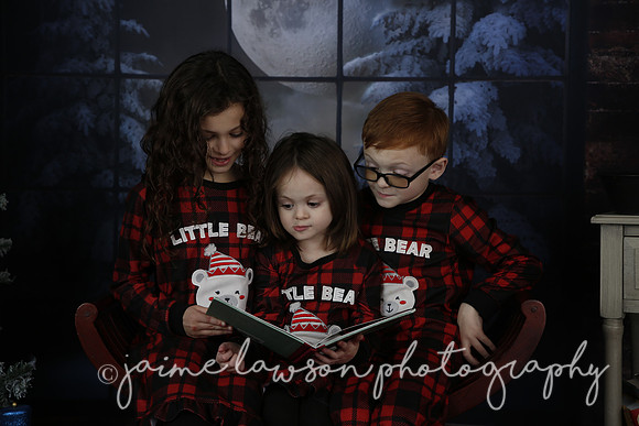 2021 Holiday Mini Session - Rodan