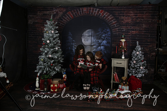 2021 Holiday Mini Session - Rodan