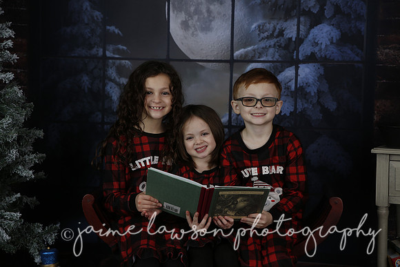 2021 Holiday Mini Session - Rodan