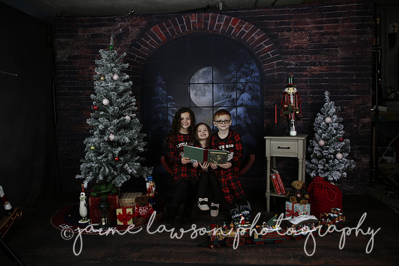 2021 Holiday Mini Session - Rodan