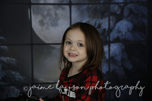 2021 Holiday Mini Session - Rodan