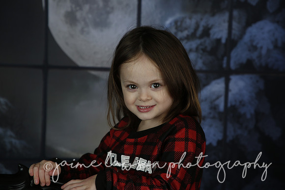 2021 Holiday Mini Session - Rodan