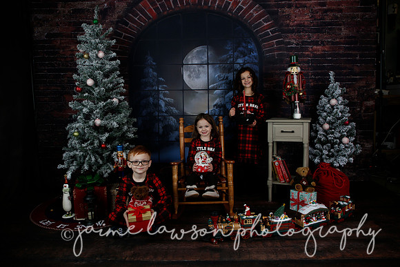 2021 Holiday Mini Session - Rodan