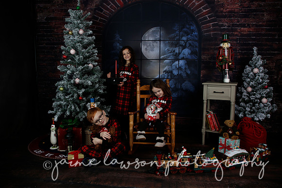 2021 Holiday Mini Session - Rodan