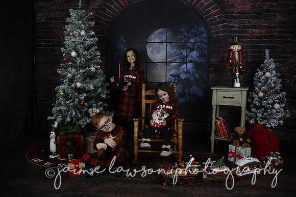 2021 Holiday Mini Session - Rodan