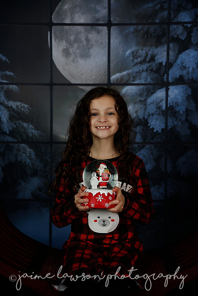 2021 Holiday Mini Session - Rodan