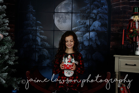 2021 Holiday Mini Session - Rodan