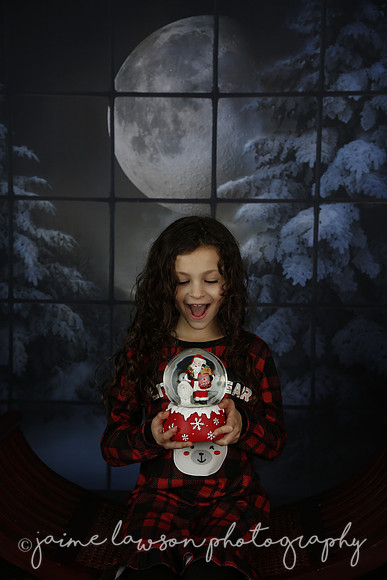 2021 Holiday Mini Session - Rodan