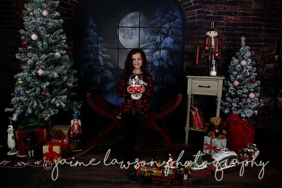 2021 Holiday Mini Session - Rodan