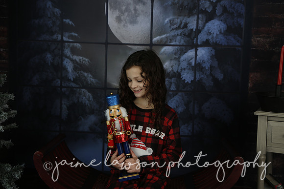2021 Holiday Mini Session - Rodan