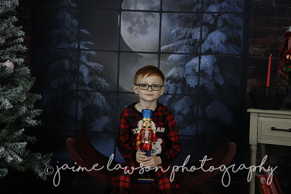 2021 Holiday Mini Session - Rodan