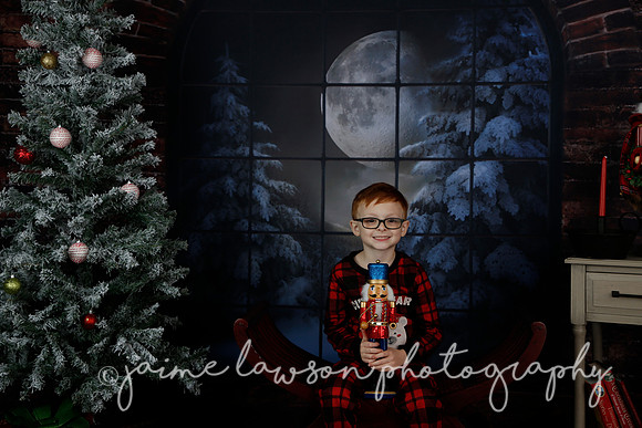 2021 Holiday Mini Session - Rodan
