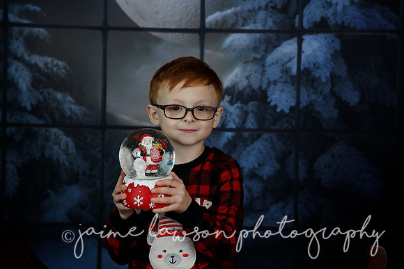 2021 Holiday Mini Session - Rodan