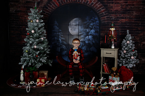 2021 Holiday Mini Session - Rodan